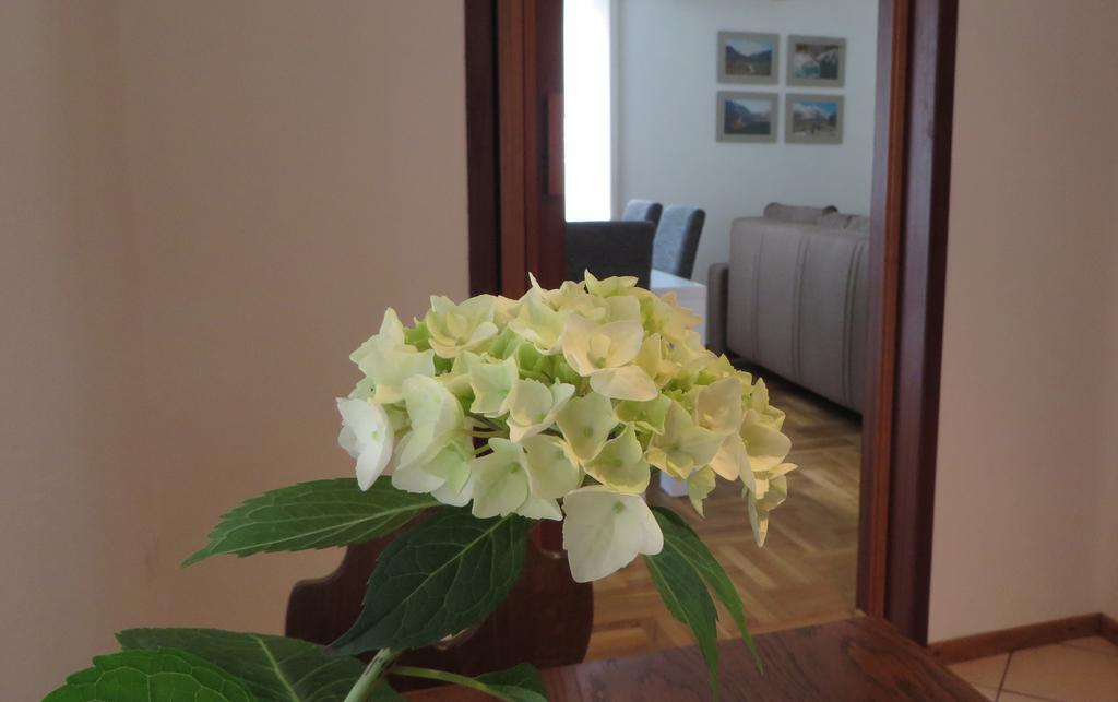 Hisa Lescer Apartment Kobarid Exterior photo